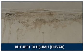 Duvarda rutubet